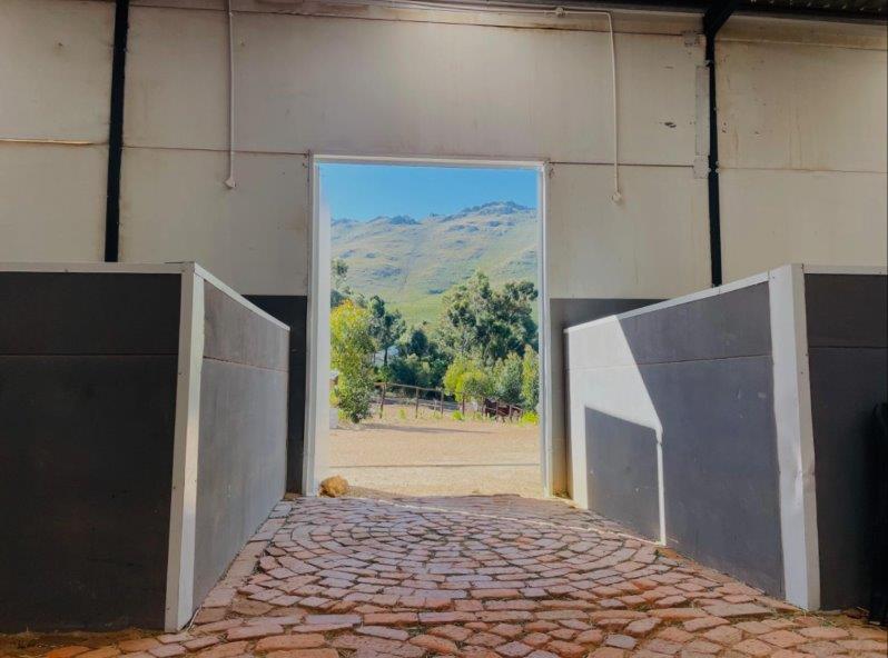 3 Bedroom Property for Sale in Firlands Western Cape